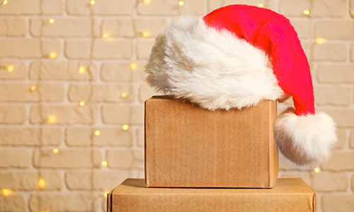 Send with Interparcel in time for Christmas